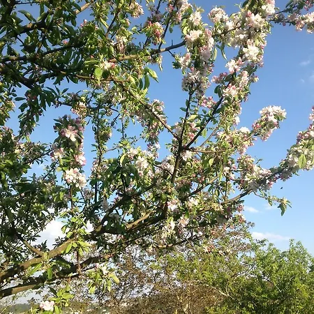 Lantgård Casa Boavista *