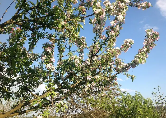 Farma Casa Boavista *